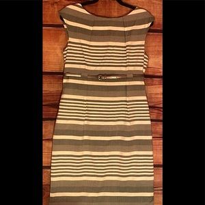 Women’s Sz 12 “Calvin Klein” Knee-Length Grey/White Belted Sheath Dress